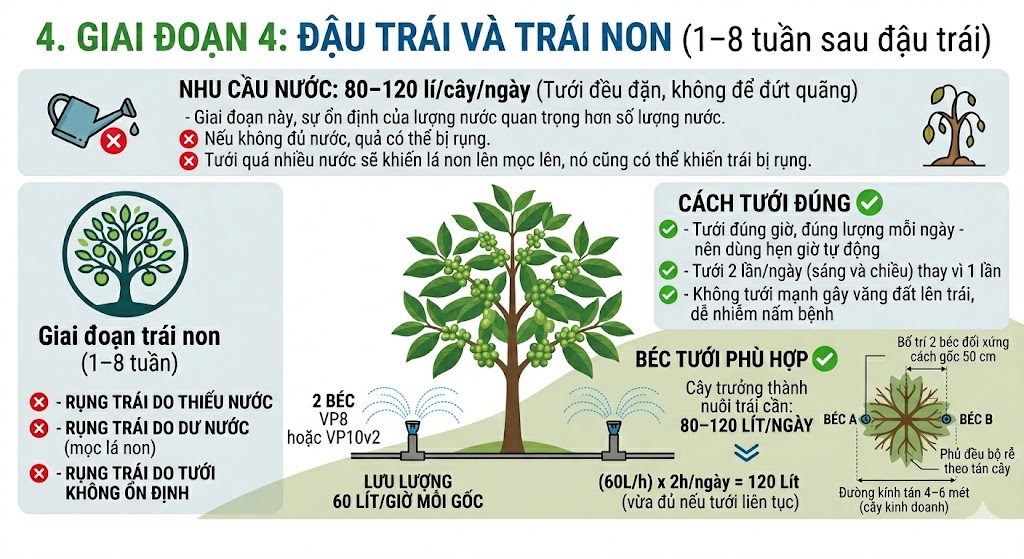 ky thuạt tuoi sau rieng tung giai doan